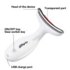 1 TBPHP Facial Massager - LED Vibration Face & Neck Device